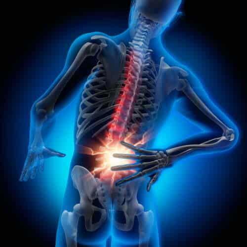 X-Ray Image Of Lower Back