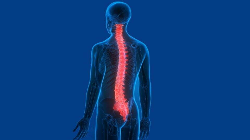The Science Behind Spinal Cord Stimulators