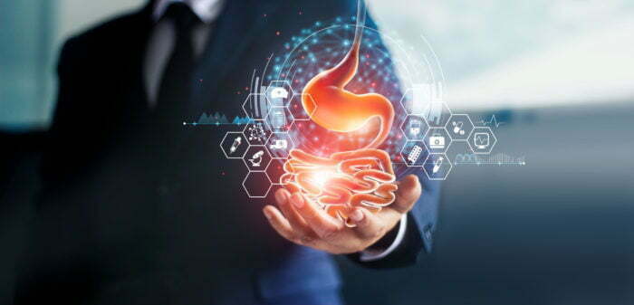 Pictorial Representation of Stomach